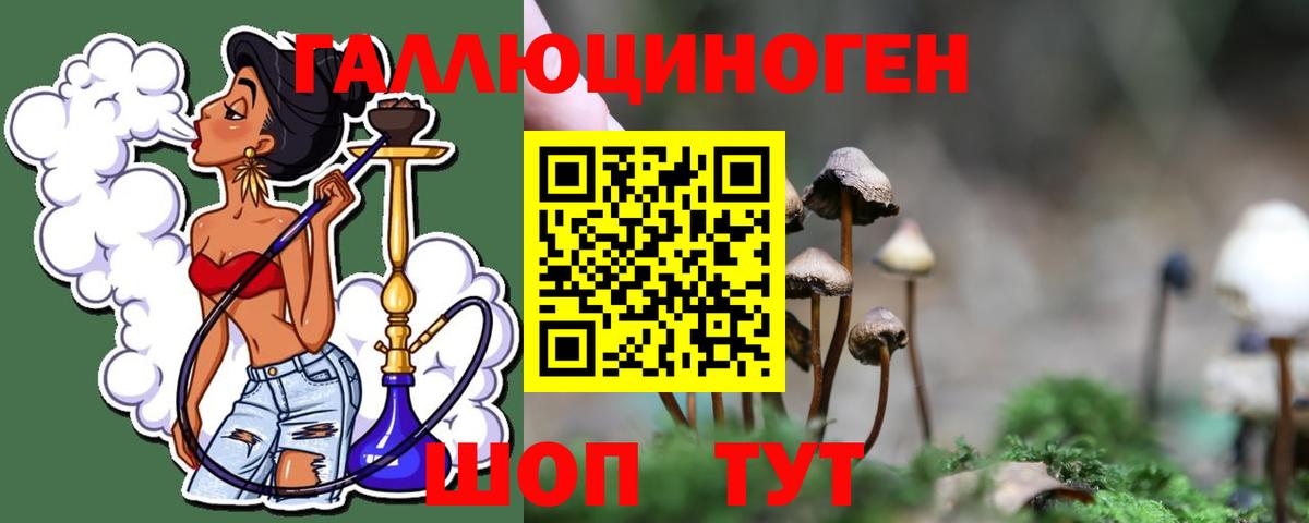 Псилоцибиновые грибы MAGIC MUSHROOMS Севастополь