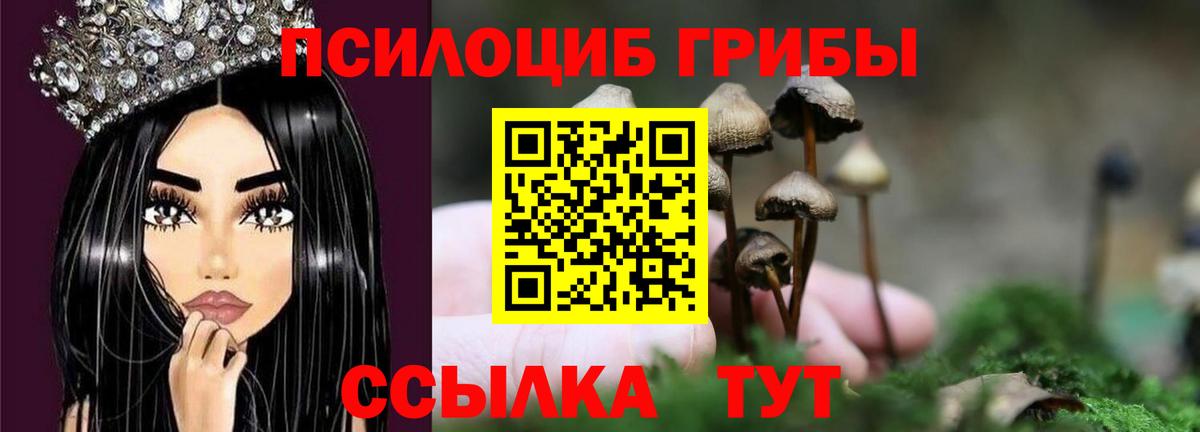 Псилоцибиновые грибы Cubensis  Галлюциногенные грибы Psilocybine cubensis  Севастополь  Вход с VPN 